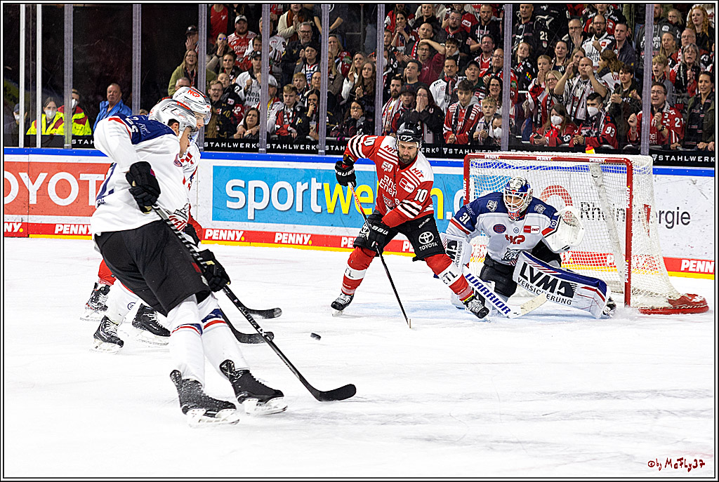 PENNY DEL;  Kölner Haie - Nuernberger Ice Tigers; Köln, 18.11.2022